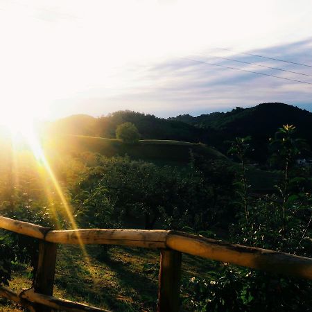 Agriturismo Al Ciliegio Willa Marostica Zewnętrze zdjęcie